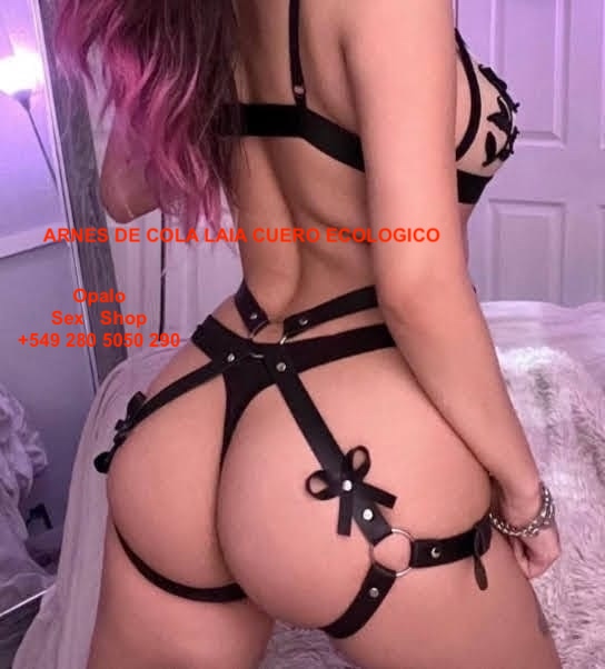 Arnes LAIA con moño - Imagen 3