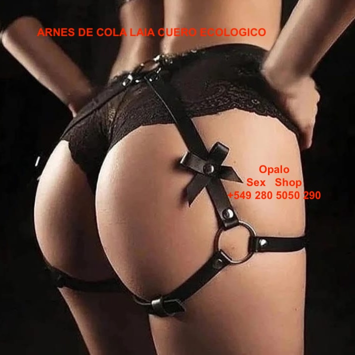 Arnes LAIA con moño