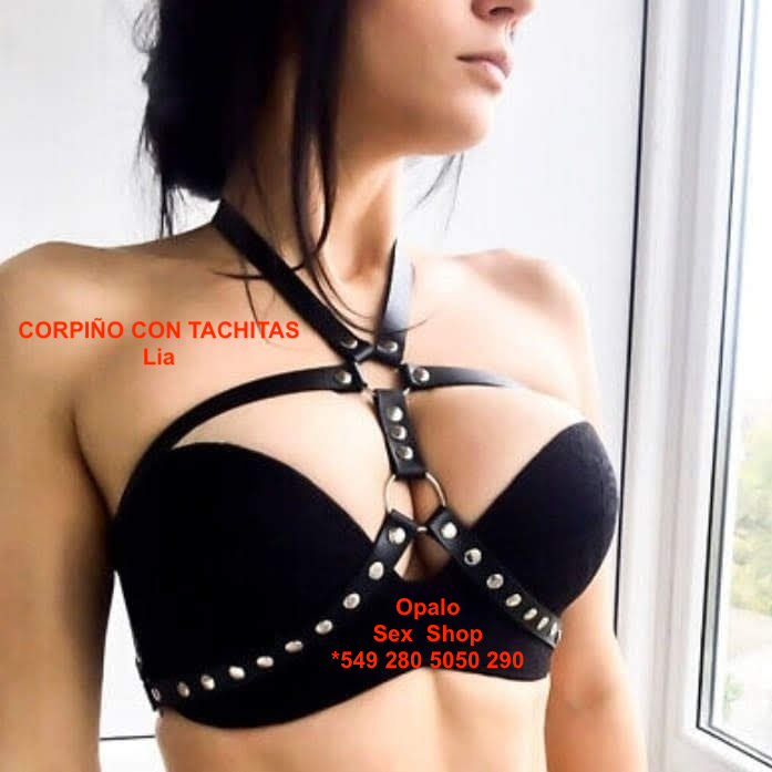 Arnes LIA - Imagen 2