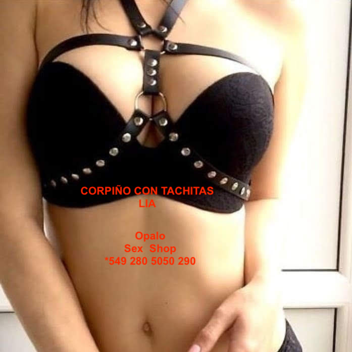 Arnes LIA - Imagen 4