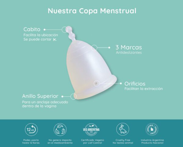 Set Dúo 2 copas menstruales - Imagen 4