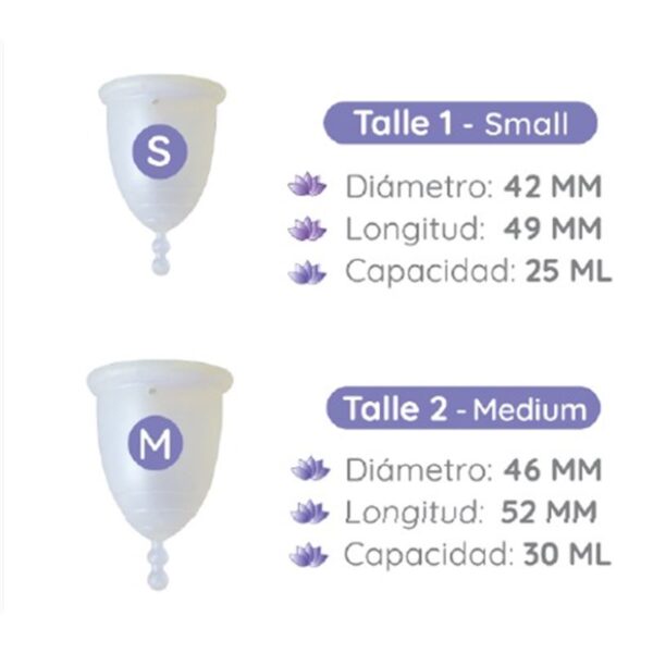 Set Dúo 2 copas menstruales - Imagen 3