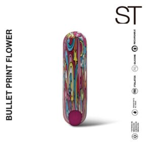 Vibrador clitoriano BULLET UsB